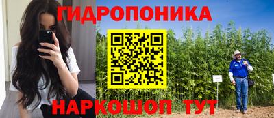 хмурый Кандалакша
