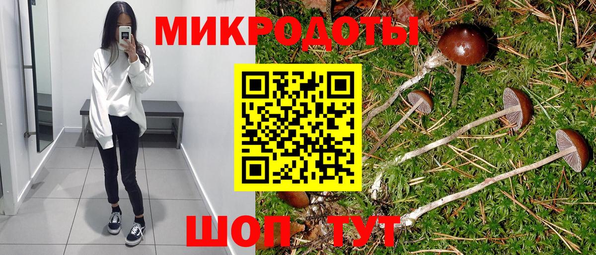 Псилоцибиновые грибы мицелий  Галлюциногенные грибы Psilocybine cubensis  Вход с VPN  Красноуфимск 