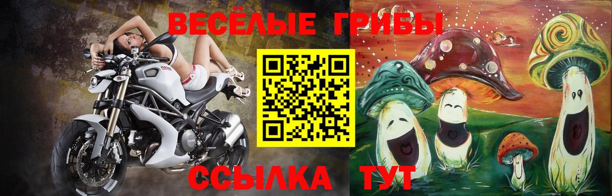 Галлюциногенные грибы MAGIC MUSHROOMS Красноуфимск
